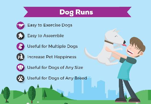 Benefits of a Dog Run