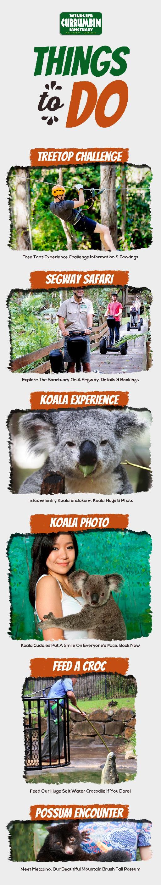 Things to do At Currumbin Wildlife Sanctuary
