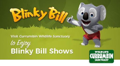 Visit Currumbin Wildlife Sanctuary to Enjoy Blinky Bill Shows