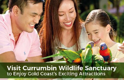 Visit CWS to Enjoy Gold Coast's Exciting Attractions
