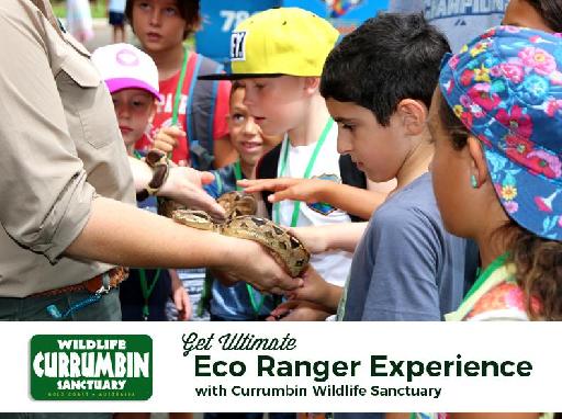 Get Ultimate Eco Ranger Experience with Currumbin Wildlife Sanctuary