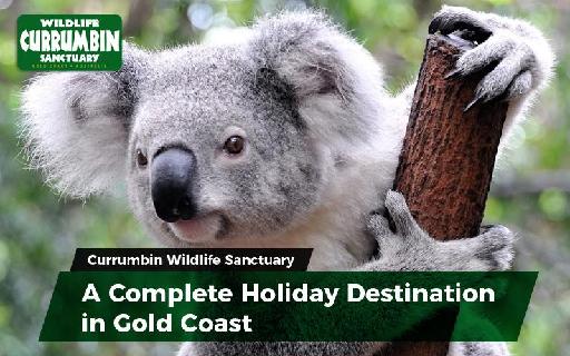 CWS - A Complete Holiday Destination in Gold Coast